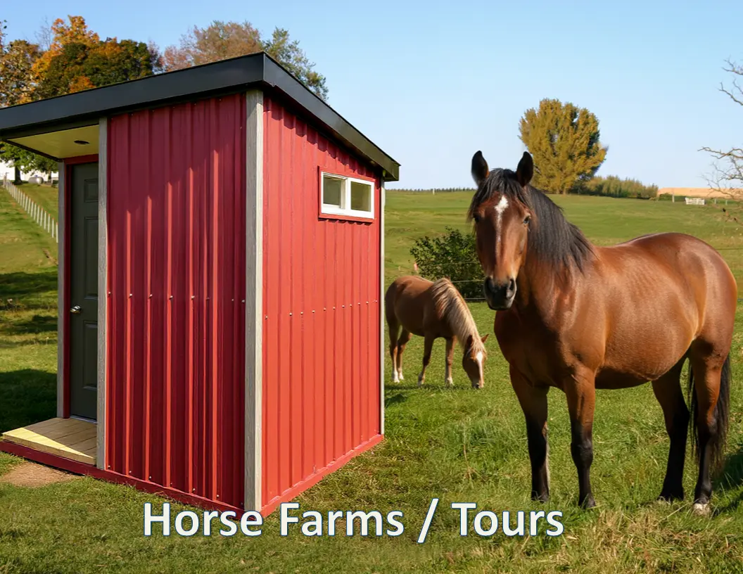 Horse Farms